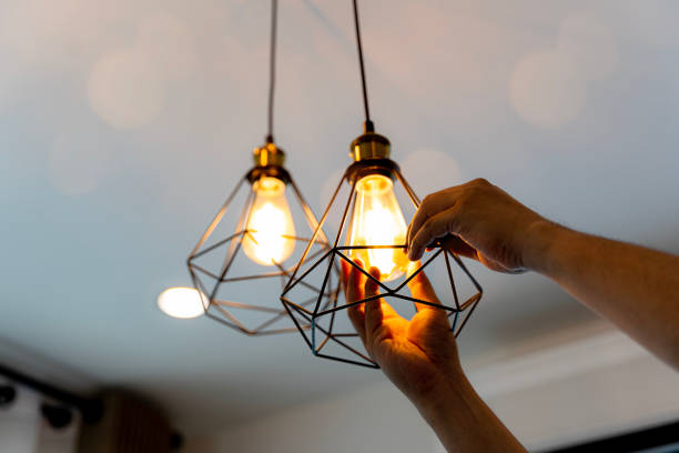 Best Outdoor Lighting Installation  in Langley, SC